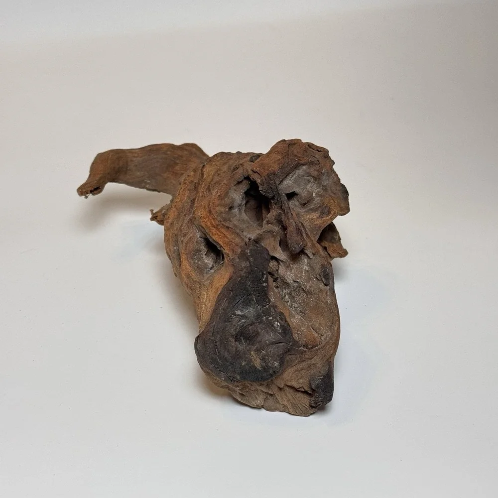 Natural Driftwood Root Sculpture Aquarium Aquascape Terrarium Wood 9.5